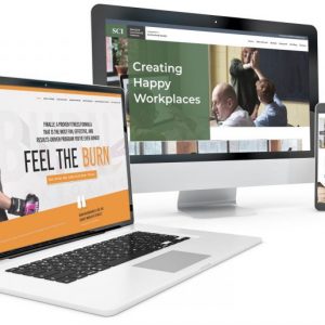 Website Design (Basic)